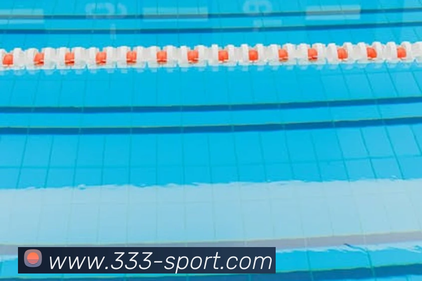 333体育(333 SPORTS)官方授权体育信息服务中心服务体系