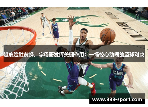 雄鹿险胜黄蜂，字母哥发挥关键作用：一场惊心动魄的篮球对决